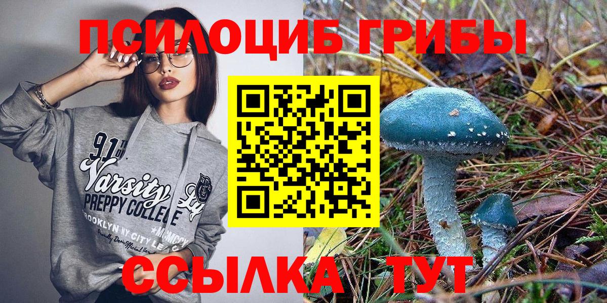 Галлюциногенные грибы мицелий Шали