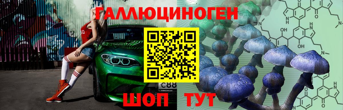 Галлюциногенные грибы Magic Shrooms  Вход с VPN  Галлюциногенные грибы Cubensis  Шали 